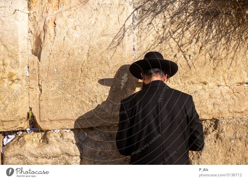 Wailing Wall II Man Adults Head Facial hair Back 1 Human being West Jerusalem Israel Wall (barrier) Wall (building) Acceptance Religion and faith Prayer Deepen