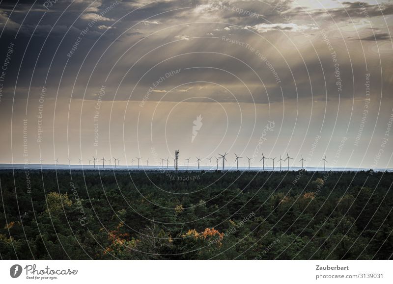 Windmills on the horizon under a dramatic sky Energy industry Wind energy plant Energy crisis Sky Clouds Climate Climate change Forest Observe Gray Green