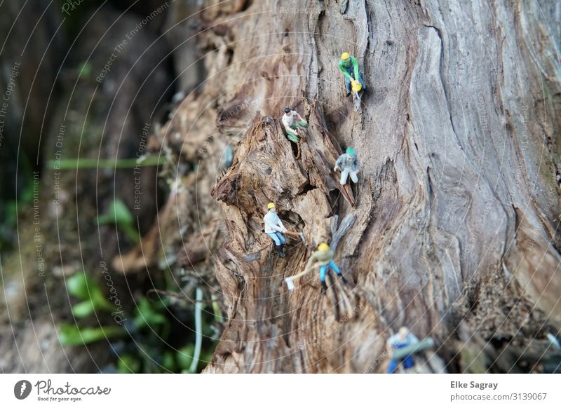 Miniature worlds Working on the wooden rock Model-making Human being Masculine 5 Animal Work and employment Build Colour photo Exterior shot Copy Space left Day