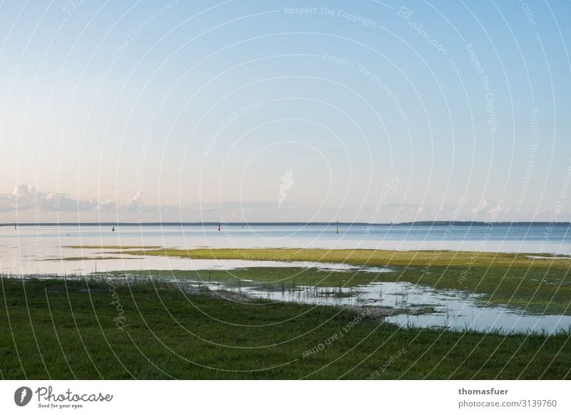 Bodden landscape - quiet and contemplative Vacation & Travel Far-off places Freedom Summer Ocean Nature Landscape Sky Horizon Beautiful weather Grass Moss