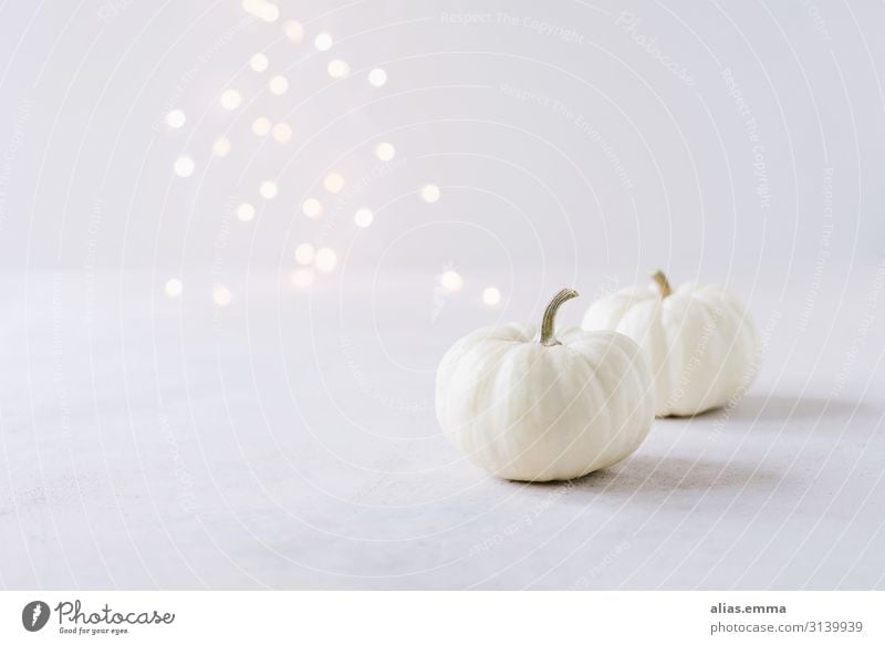 Elegant autumn decoration with white pumpkins and light bokeh Vegetable Lifestyle Style Design Feasts & Celebrations Thanksgiving Hallowe'en Nature Autumn