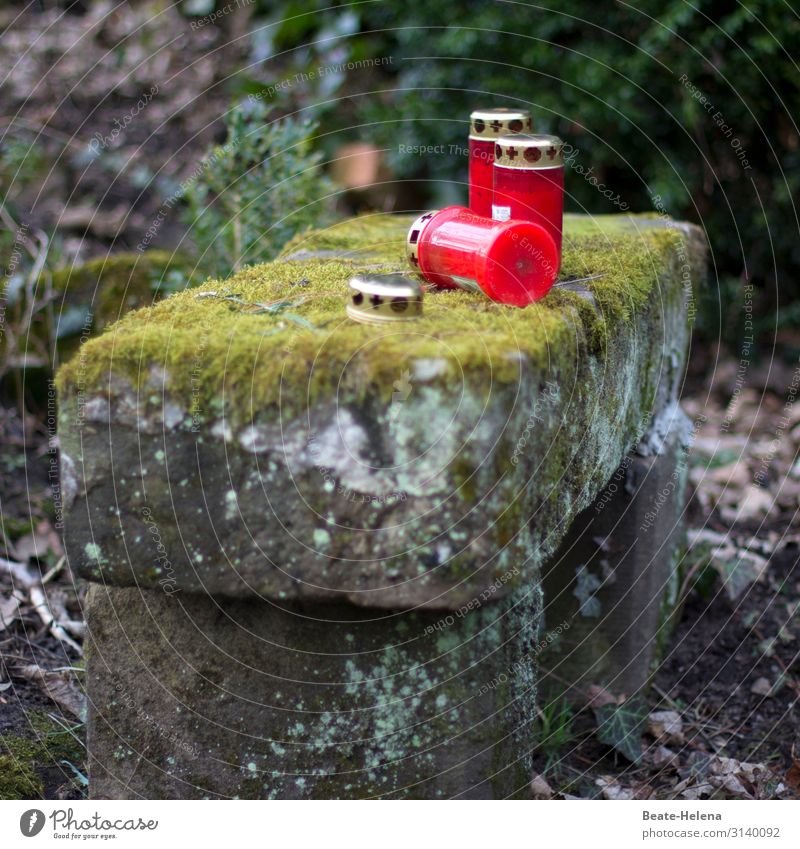 In memory: Grave candles on mossy gravestone remains commemoration Death Death Sunday Tombstone moss-covered decay Cemetery Grief Transience Exterior shot