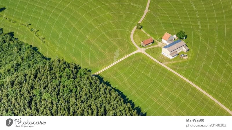 Courtyard in the green Organic produce Vacation & Travel Freedom Summer Farm Agriculture Forestry Environment Nature Landscape Plant Earth Beautiful weather