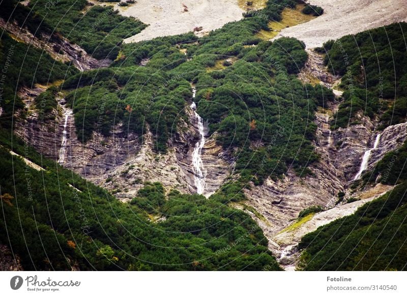 waterfalls Environment Nature Landscape Plant Autumn Forest Rock Alps Mountain Waterfall Bright Wet Natural Gray Green far Austria Federal State of Tyrol