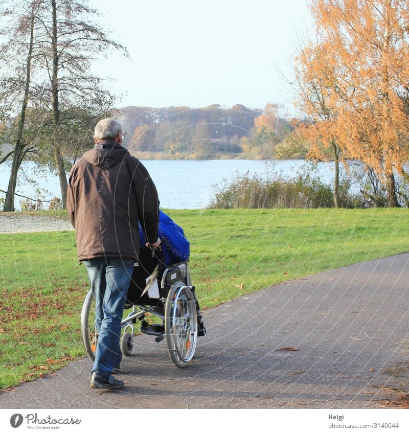 male senior pushes a person in a wheelchair on a path by the lake Illness Trip Human being Masculine Man Adults Male senior Family & Relations Senior citizen 2