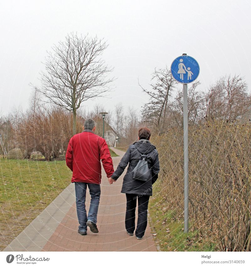 Rear view of a couple of elderly people holding hands and walking along a footpath Human being Masculine Feminine Woman Adults Man 2 45 - 60 years Environment