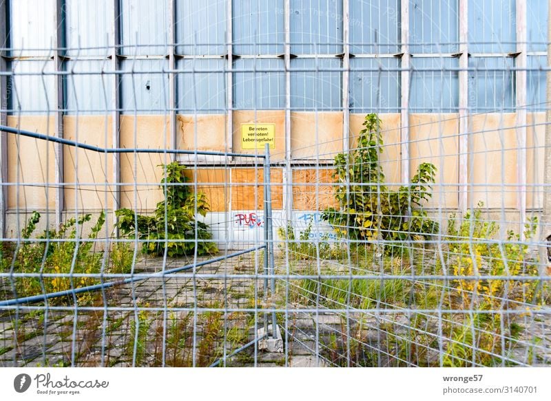 behind bars II Magdeburg Germany Europe Town Capital city Deserted Ruin Manmade structures Architecture Facade Window Old Gloomy Brown Gray Green Decline Past