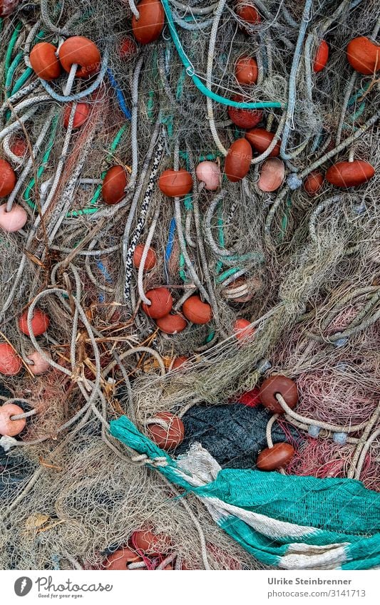 Fishing nets wildly jumbled Rope Plaited Net fishing Fishing industry Sardinia Pattern Colour photo Exterior shot Fishery Structures and shapes Detail Knot