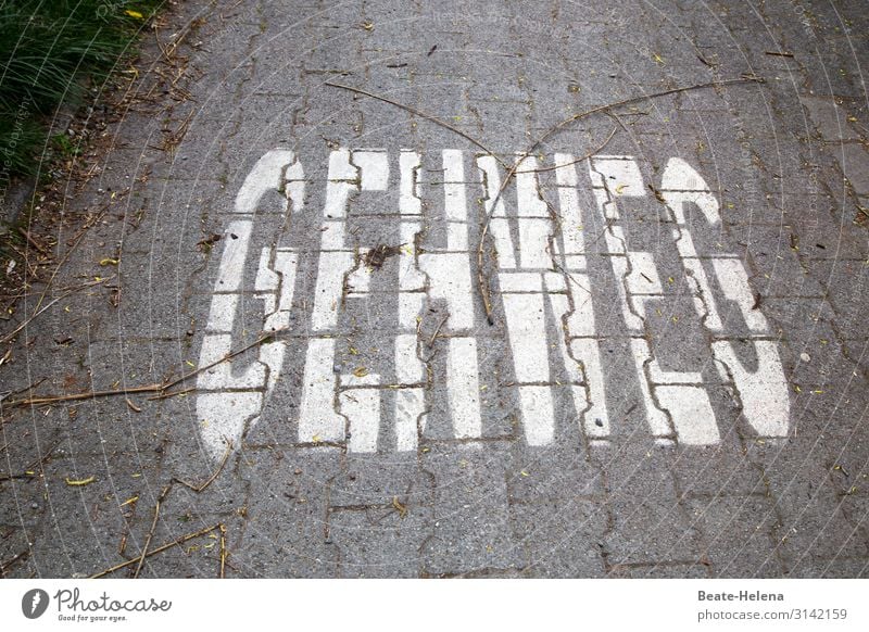 Paved path with inscription: Functional assignment for pedestrians and/or appeal from cyclists to pedestrians! Street off paved Go away! warning cry