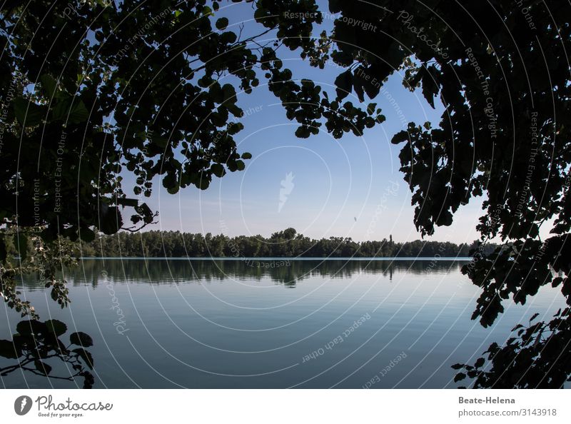 Evening rest: Landscape reflection in water Water huts evening mood Meditation tranquillity reflectiveness Lake retreat Symmetry Reflection Idyll Calm Nature