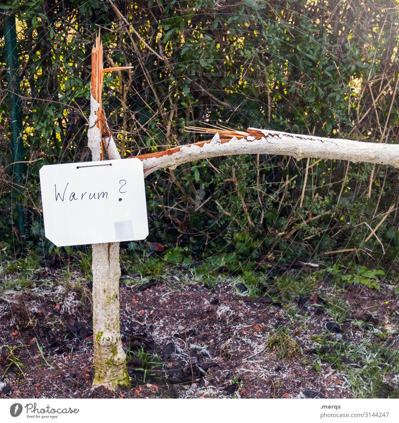 Why Environment Nature Summer Beautiful weather Bushes Tree trunk Characters Signage Warning sign Broken Sustainability Vandalism To break (something)