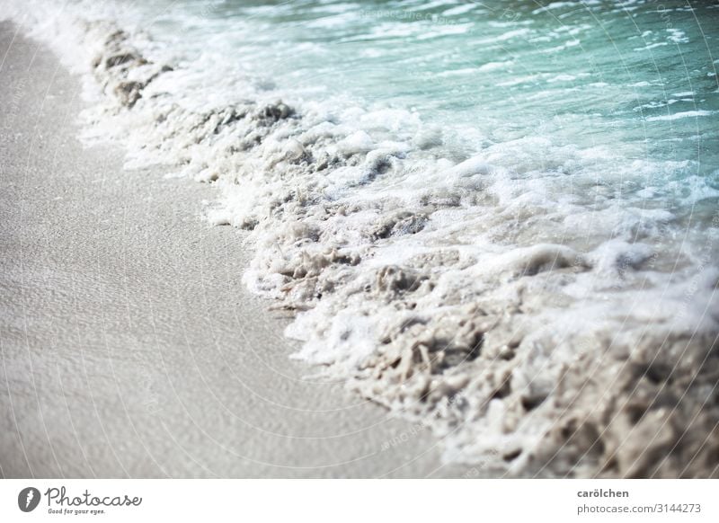 noise Waves Gray Turquoise Beach Sandy beach Surf Foam Ocean Hissing Come Water Colour photo Exterior shot Close-up Deserted Copy Space left