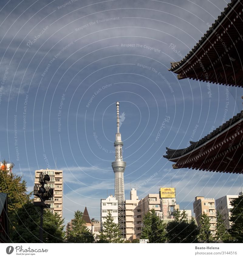 Tokyo - a place of diversity Lifestyle Luxury Environment Tree Bushes Park Capital city Skyline House (Residential Structure) Tower Temple Facade Roof Ornament