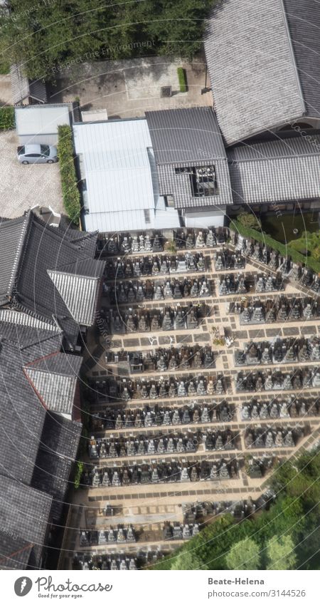 Dying in Tokyo Tourism Cemetery Grave Death Capital city House (Residential Structure) Manmade structures Architecture Street Stone Statue Old Faded Gloomy