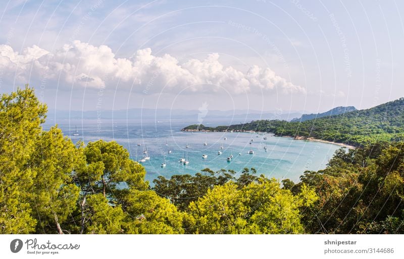 Île de Porquerolles, France Luxury Leisure and hobbies Vacation & Travel Tourism Trip Adventure Far-off places Cruise Expedition Summer Summer vacation Sun