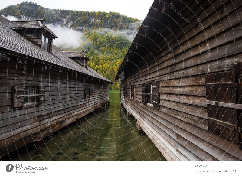 Königssee #3 Environment Nature Landscape Plant Esthetic Lake Königssee Berchtesgaden Colour photo Exterior shot