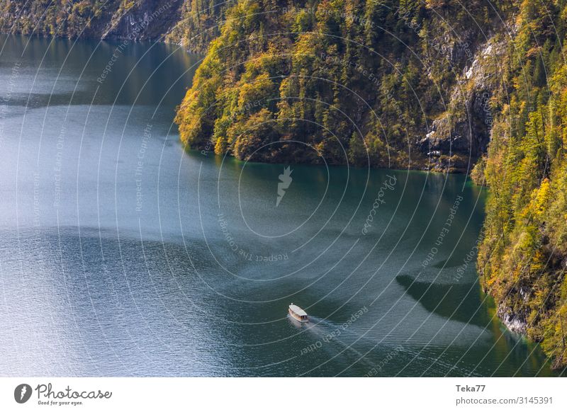 Königssee #1 Environment Nature Landscape Plant Esthetic Lake Königssee Berchtesgaden Colour photo Exterior shot Morning