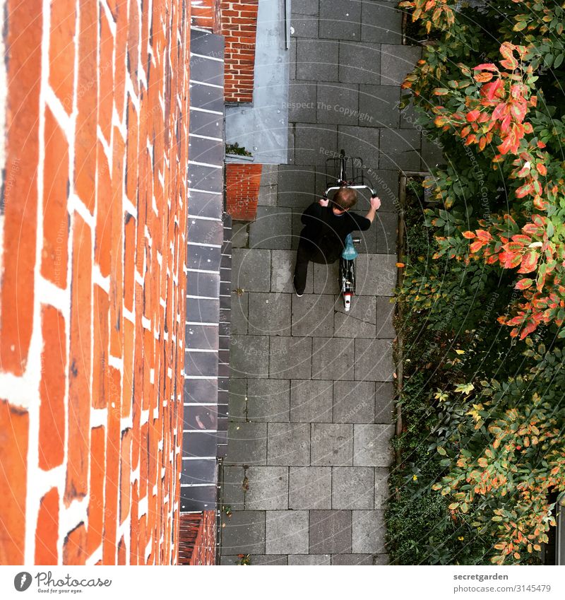 Bye, home office! Bicycle Sidewalk Bird's-eye view Beginning Man Facade Brick wall plants wayside Summer Paving stone Lanes & trails Colour photo Day Town