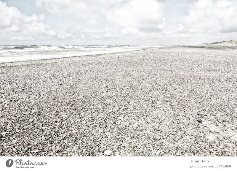 Water and stones Vacation & Travel Environment Nature Elements Sand Beautiful weather Coast Beach North Sea Denmark Stone Going Looking Esthetic Bright Natural