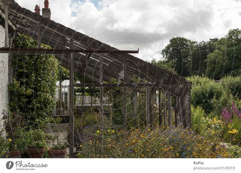 Desserted greenhouse in a wild garden. Lifestyle Style Design Wellness Relaxation Leisure and hobbies Living or residing Garden Education Work and employment