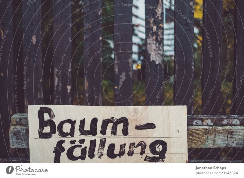 Sign on the fence with warning sign Tree felling Evening sun attentiveness Exterior shot reflection Season foliage October outdoor tranquillity Sunlight