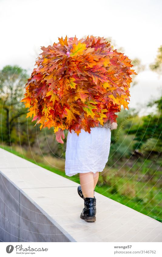 autumn is colourful Style Human being Child Toddler Girl 1 3 - 8 years Infancy Dress Umbrella Boots Going Walking Cool (slang) Multicoloured Umbrellas & Shades