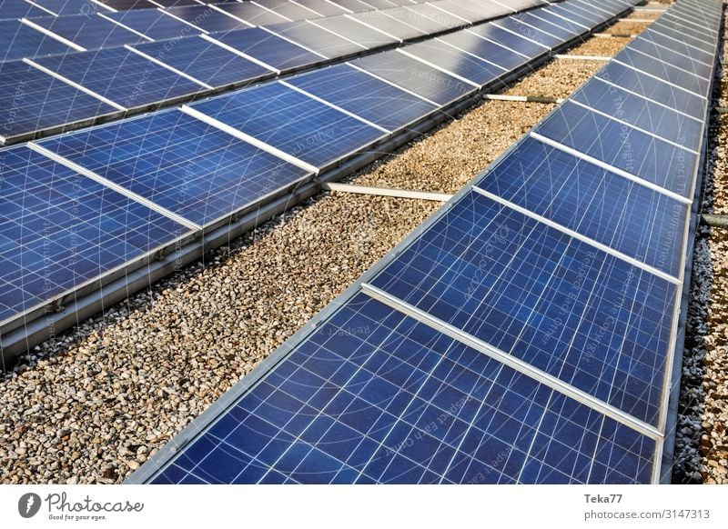 Solar cells #1 Technology Energy industry Renewable energy Solar Power Esthetic Contentment Colour photo Exterior shot Day