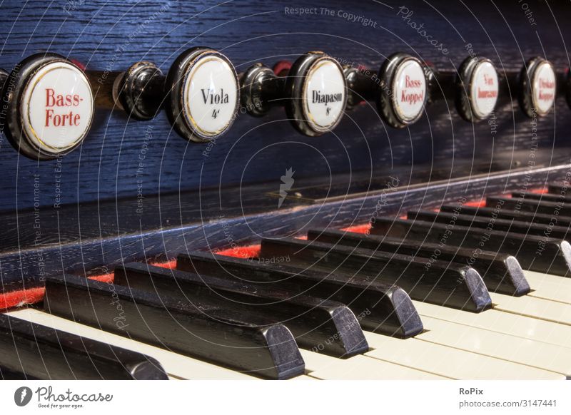 Detail of a historic organ. Lifestyle Design Harmonious Leisure and hobbies Vacation & Travel Tourism Sightseeing Education School Art Museum Music Band