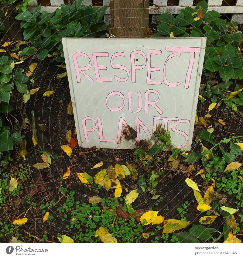 UTHH19_Respect and such Garden Environment Nature Earth Autumn Climate Climate change Plant Tree Leaf Park Deserted Characters Signs and labeling Signage