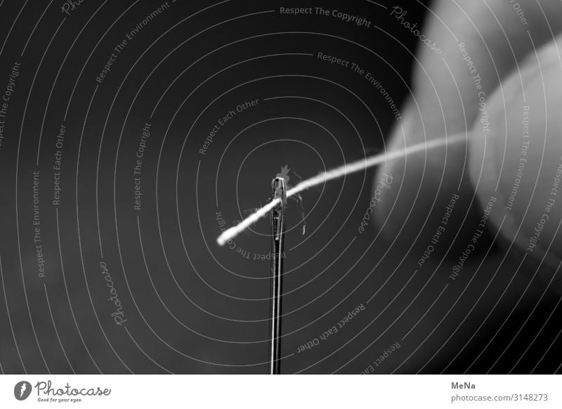 threading Needle Sewing thread Point Patient Calm Endurance Loop Black & white photo Interior shot Close-up Experimental