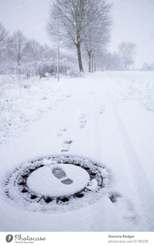 Footprints in the snow Environment Nature Landscape Winter Weather Ice Frost Snow Tree Traffic infrastructure Lanes & trails Cold Town White Curiosity