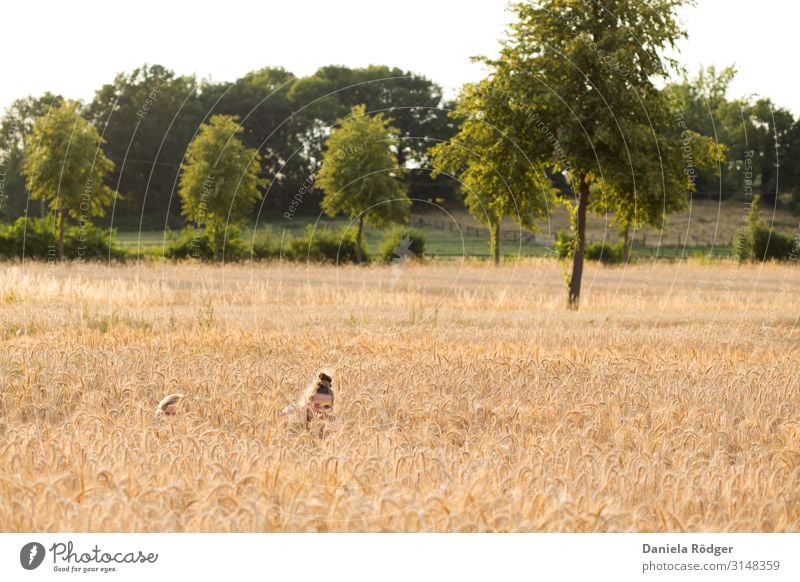 The excursion , No.2 Hide Trip Adventure Summer Feminine Girl Sister Infancy Head Human being Nature Landscape Sunlight Agricultural crop Wheatfield Field