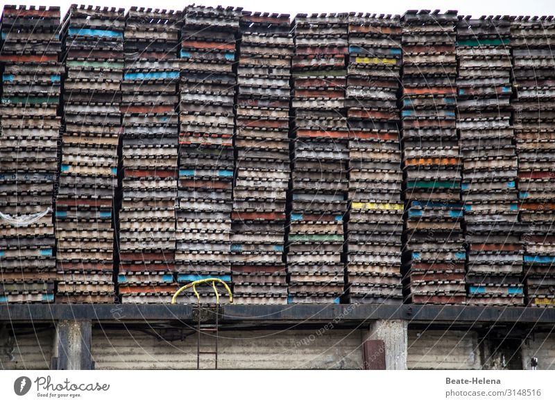 Colourful pallet wall Work and employment Workplace Trade Logistics Palett Tower Stack Wall (barrier) Wall (building) Signs and labeling Utilize Cleaning Stand