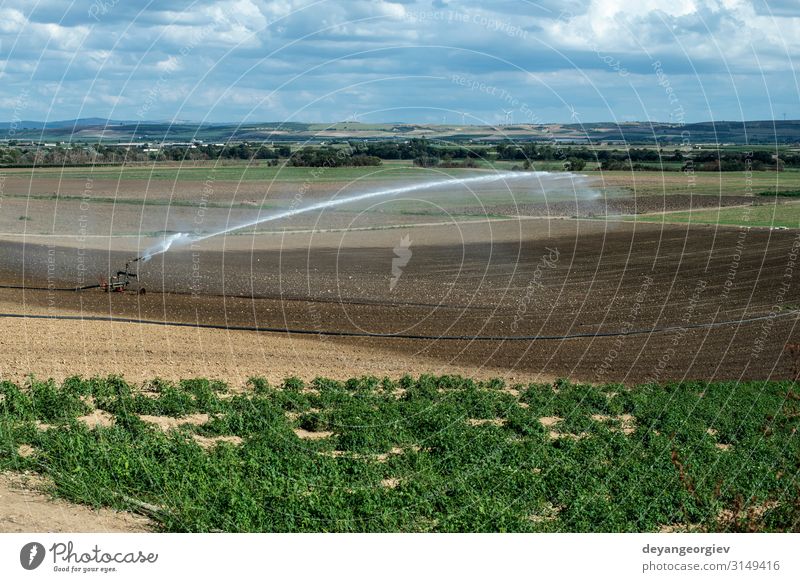 Watering green plants and plowed soil. Newly planted Nutrition Summer Work and employment Industry Tool Technology Metal Growth Green sprinkler Farm panorama