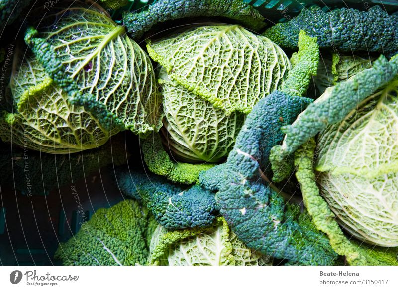 Winter vegetables Savoy cabbage winter vegetables vegetarian salubriously vegan Rachis Vegetable Fresh Nutrition Food Delicious Organic produce Vegetarian diet