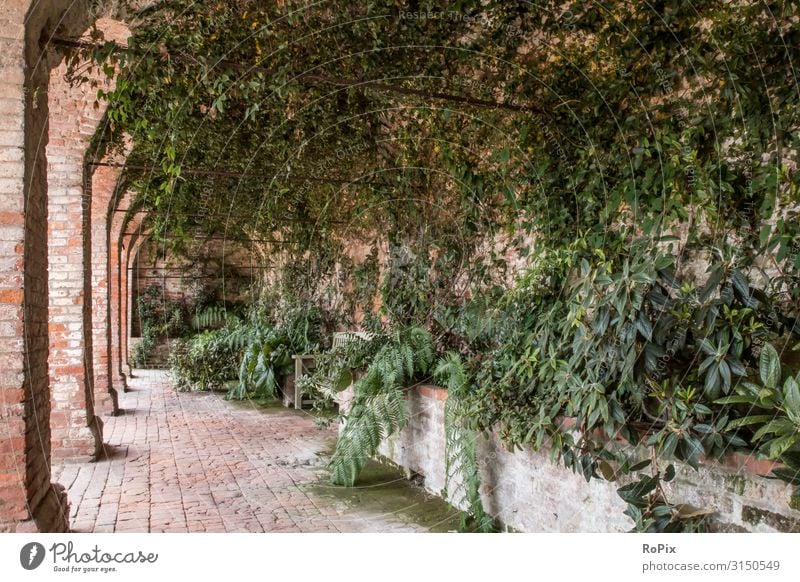 Arcades in the park of an old castle. Hallway Lock monasteries built Church Park columns cloister Architecture Vault sacral building Stone Skirt Sandstone