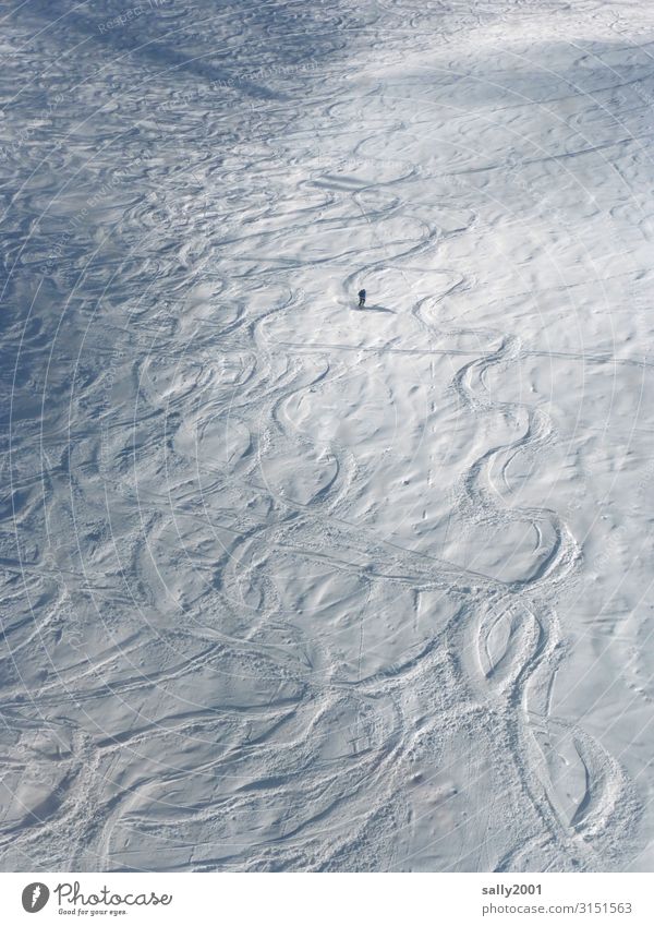 Ski opening... Sports Winter sports Skiing Ski run Human being 1 Environment Snow Alps Mountain Movement Relaxation To enjoy Athletic Hip & trendy Cold Joy