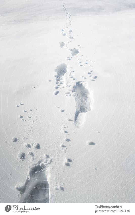 Footsteps in snow. Foot pathway through the snow. Winter scenery Adventure Snow Hiking Nature Climate change Weather Beautiful weather Animal tracks Footprint