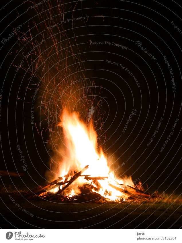 Baking fire II Meadow Hot Bright Natural Yellow Gold Power Nature Fire Colour photo Subdued colour Exterior shot Deserted Copy Space left Copy Space right