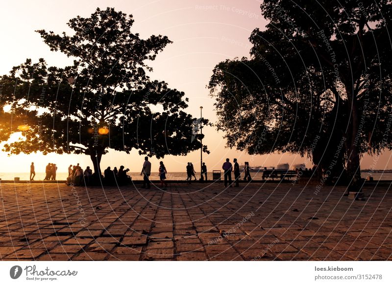 Ocean boulevard during sunset, Kochi, Kerala, India Exotic Vacation & Travel Tourism Sightseeing Summer Human being Crowd of people Nature Coast Town