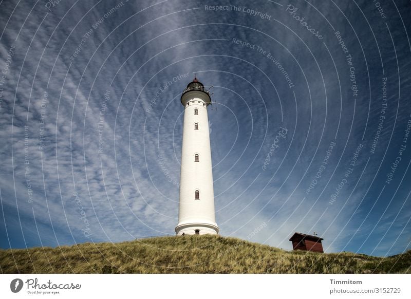 cloud dominance Vacation & Travel Environment Nature Landscape Sky Clouds Beautiful weather Plant North Sea Dune Lynvig Fyr Denmark Lighthouse Barn Lyngvig Fyr