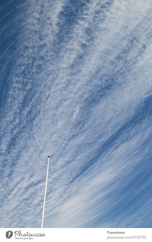 He could not resist the maelstrom Vacation & Travel Environment Nature Sky Clouds Beautiful weather North Sea Lynvig Fyr Denmark Flagpole Wood Stand Esthetic