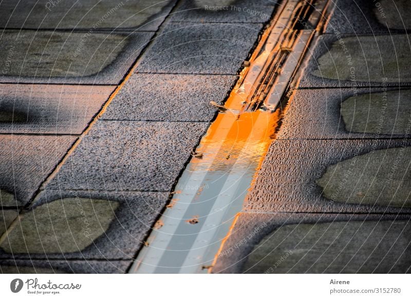 Evening light | UT Hamburg Elements Water Sunrise Sunset Beautiful weather Street Sidewalk Pedestrian precinct Cobbled pathway Paving stone Rail transport Tram