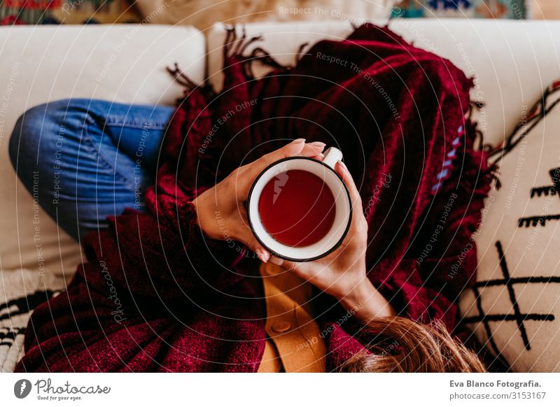 beautiful woman sitting on the sofa, enjoying a cup of tea. cute golden retriever dog besides. lifestyle indoors. close up view Woman Tea Home Dog Pet Sofa