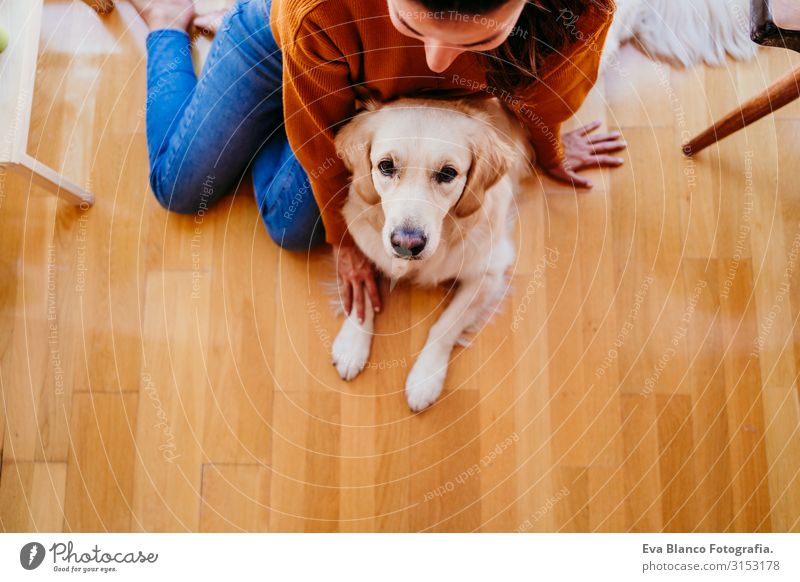 beautiful woman hugging her adorable golden retriever dog at home. love for animals concept. lifestyle indoors Woman Dog Home Golden Retriever Embrace Love