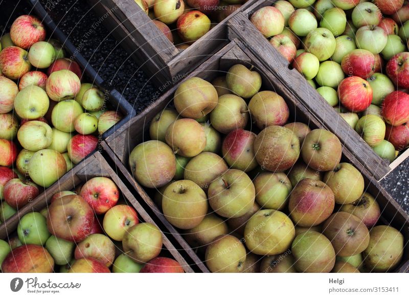 several boxes with different freshly harvested apples Food Fruit Apple Nutrition Organic produce Vegetarian diet Crate Wood Lie Authentic Sharp-edged Fresh