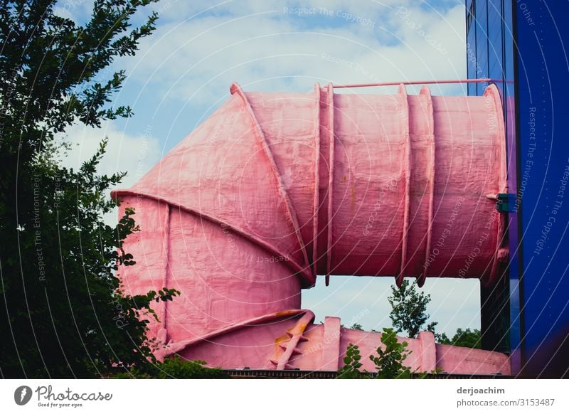 A pink pipe on a blue wall is bent. On the left is a tree. Design Life Trip Industry Environment Summer Beautiful weather Tree River bank Berlin Germany