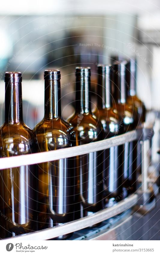 Glass bottles in bottling machine Bottle Industry Technology Modern wine-making Winery Filling machine automated conveyor drink filling glass grapevine Produce