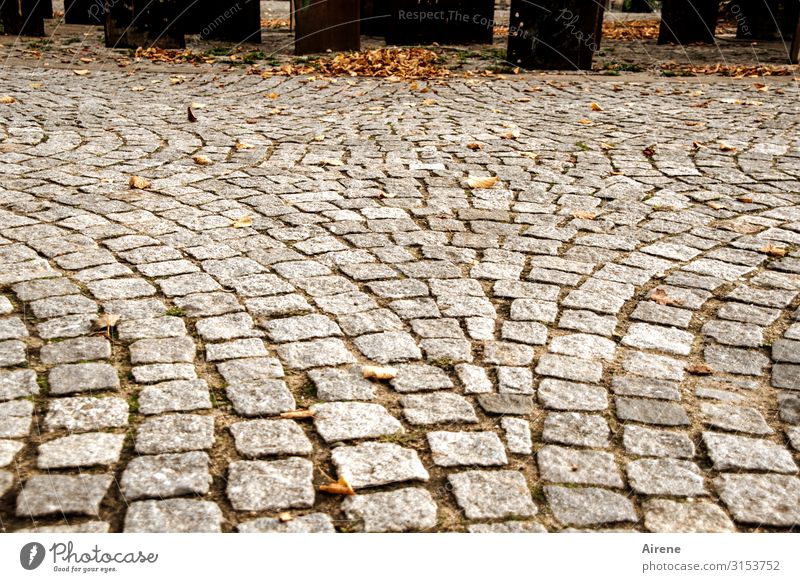 enter | UT Hamburg Autumn Autumn leaves Cobblestones Places Pedestrian precinct Monument Freeze Cold Town Brown Gray Orange Cleanliness Loneliness Perspective