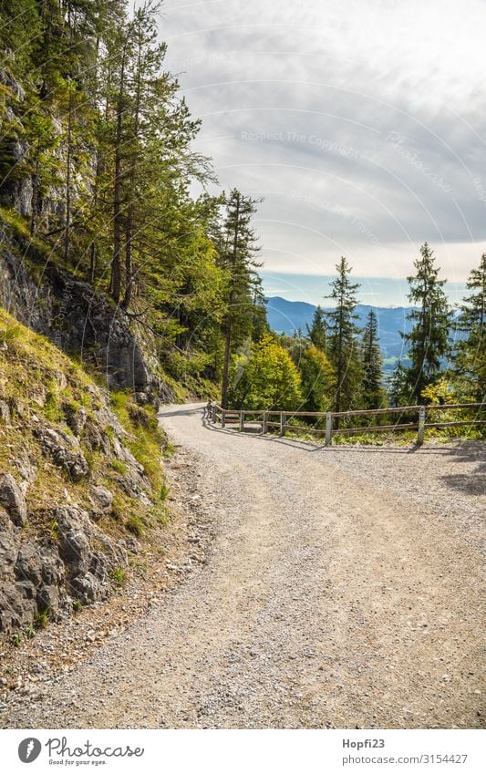 Hiking trail in the Alps Nature Landscape Plant Sky Clouds Autumn Beautiful weather Tree Rock Mountain Peak Diet Relaxation Fitness Walking Blue Brown Yellow